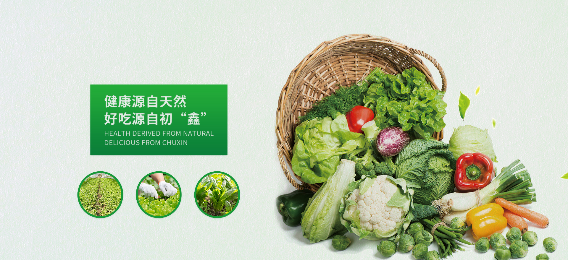 贝博官网首页:关于我们