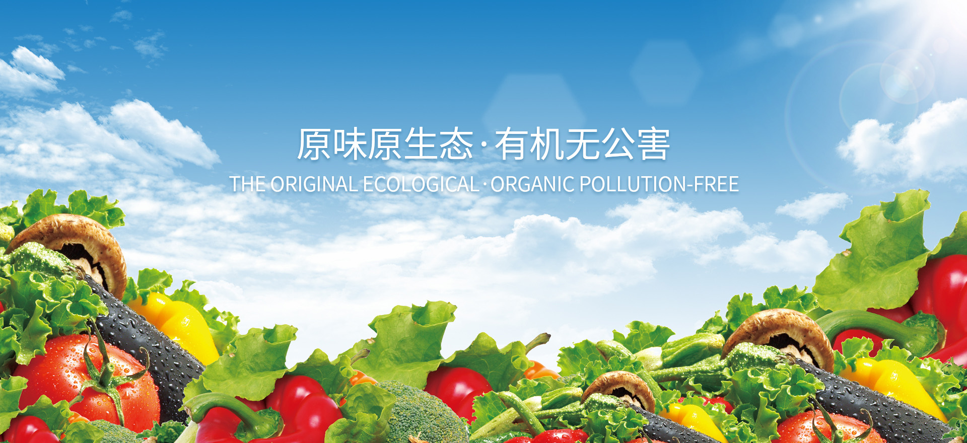 贝博官网首页:产品展示